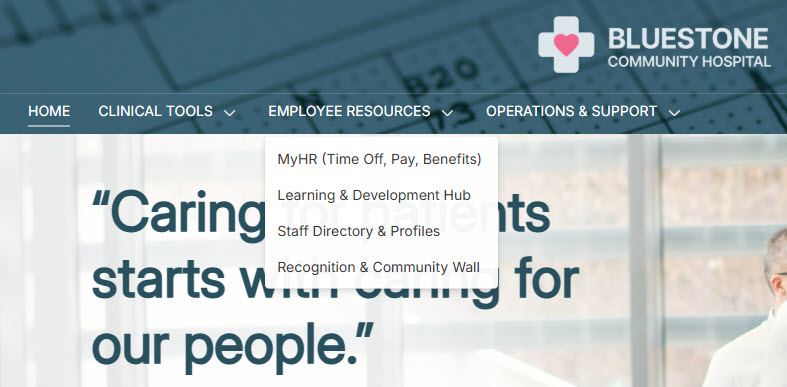 Healthcare Intranet Navigation Menu
