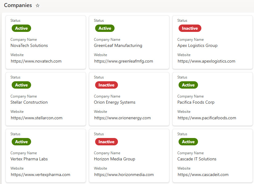 CRM Companies List Card View
