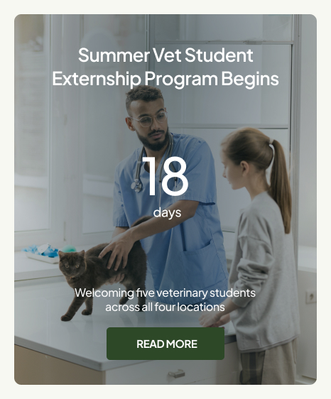 Veterinary Clinic Intranet Countdown Timer with CTA