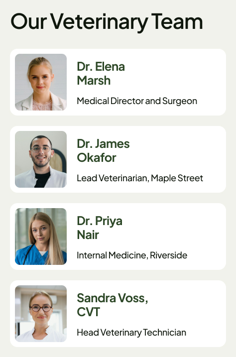Veterinary Clinic Intranet Team Members
