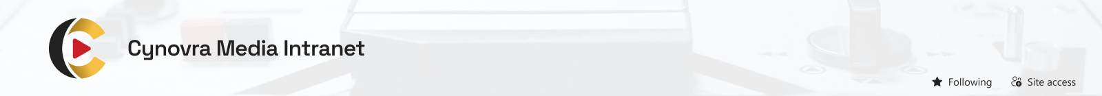 Entertainment/Media Company Intranet Header